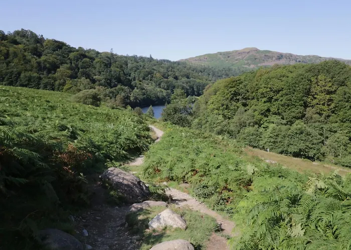 The Haven * Windermere